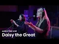 Daisy the Great - Dips tree Live