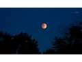ScienceCasts Total Eclipse of the Harvest Moon
