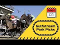 Gulfstream Park Free Horse Racing Picks 25
