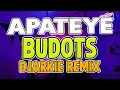 Download Lagu APATEYE TIKTOK VIRAL 2025 ( Thai Disco Budots ) Dj Arkie Remix