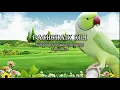 Download Lagu Pachchai Kili Muththuch Charam - Tamil Karaoke For Male Singers With Tamil Lyrics