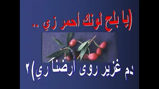 ترنيمة يا بلح لونك أحمر زي دندنها