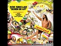 New New New (Avicii Remix Edit) (feat. Vybrate, Queen Ifrica & Makedah) - Bob Sinclar