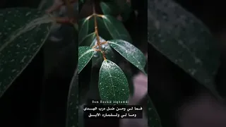 رضيت برب الورى خالقي دندنها
