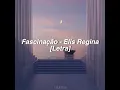 Elis Regina - Fascinação // [Letra]
