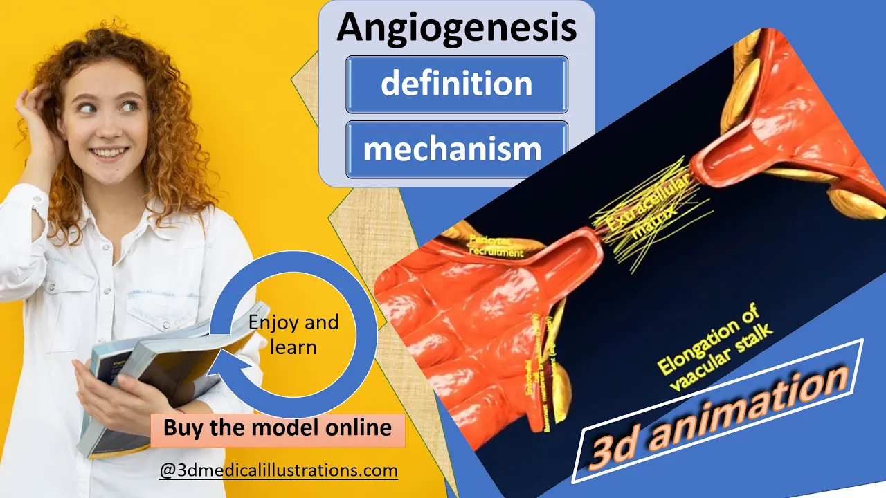 angiogenesis definition - mechanism of angiogenesis - tumor angiogenesis - sprouting vasculogenesis