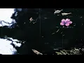 Easily I Forget - Alfa Mist, Emmavie ( slowed + reverbed )