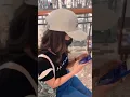 Download Lagu Story wa Mentahan halu jalan bareng cewe cantik di mall. Buat manasin mantan, prank temen.