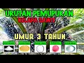 Lagu PUPUK SAWIT UMUR 3 TAHUN