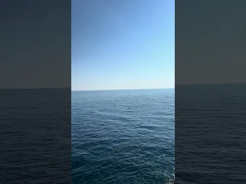 Croatia Dubrovnik View View of Lokrum Island from City Wall #Shorts