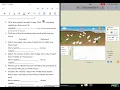 Natural Selection PhET Simulation