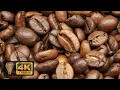 Download Lagu 4K UHD Roasted Coffee Beans Screensaver. 8 Hours of High Quality video and music.