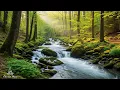 Download Lagu Healing Music for Inner Peace 🌿 Birdsong-Nature Sounds for Stress Relief | Flowrest Piano