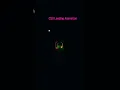CSS Loading Animation