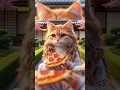 Download Lagu gara-gara oci 😄#shorts #cute #cat #catlovers #funny #cartoon