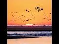 Love Ride
