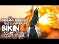 Download Lagu Pancingan kacer, Suara burung kacer, Masteran kacer cepat bikin nyaut gacor