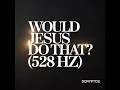 Would Jesus Do That?