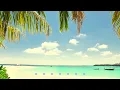 🌴 Tropic Love 🍹 Luke Bergs & Agus Alvarez [Sax/Tropical House]