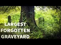 LARGEST FORGOTTEN GRAVEYARD IN ALABAMA EXPLORING 20 ACRES OF ABANDONED GRAVES URBEX