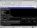 45 B Using SQL batch files