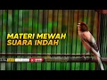 Download Lagu 🔴#82 Masteran Kenari Gacor mewah cengkok indah tembakan dahsyat_khusus masteran lomba