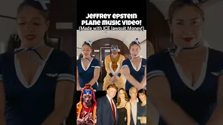 The Jeffrey Epstein Plane is out