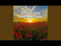 Download Lagu The usual story