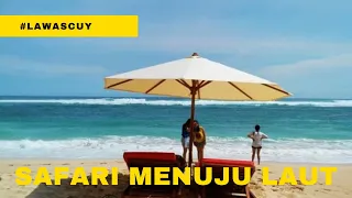 safari menuju laut