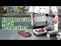 Commercial Meat Tenderizer Machine Meat Stripper Meat Processing