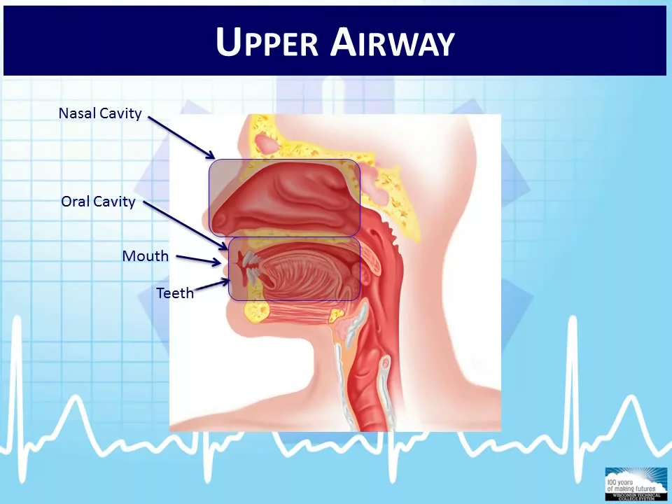 EMT 1-4: Overview of the Human Body and Physiology