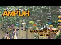 Download Lagu Terbukti Ampuh‼️Simulasi Lomba LOVEBIRD Terbaru • Naikan Mental Lovebird Gacoan Anda • Full 1 Jam