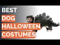 10 Best Dog Halloween Costumes Rubie s Animal Planet and More