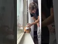 I Got My Cat A Head Massager
