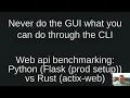 Web api benchmarking Python Flask prod setup vs Rust actix-web