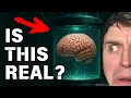 Startup Using Human Brain Cells to Build A I The FinalSpark Project