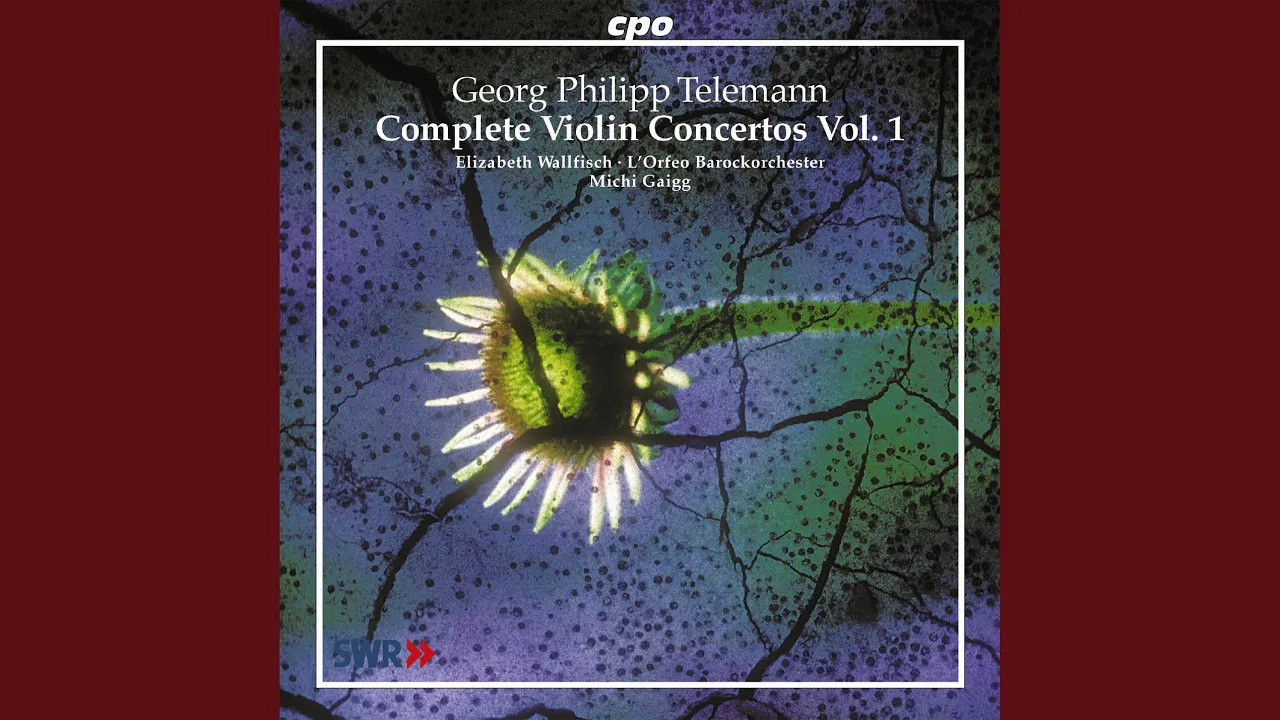 Violin Concerto in G Major, TWV 51:G8: I. Allegro