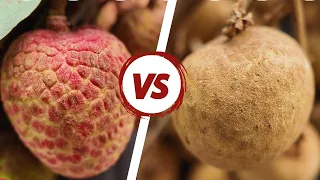 Lychee vs Longan What s the Real Difference