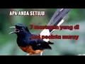 Download Lagu 7 masteran yg di cari pecinta muray kicau