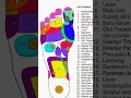 Download Lagu Manfaat 62 titik refleksi kaki ,