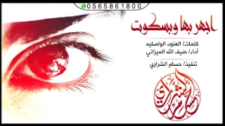 شيلة بلحن عراقي   اجهر بها و بسكوت   ضيعتني بطاريك    اداء ضيف الله الميزاني  رابط     دندنها
