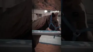 ليت قلبي قد عصاني 