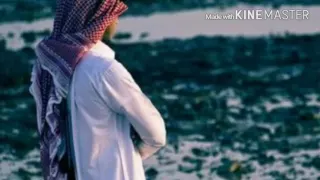 شيله سهيل   كلمات حمد القاشوطي أداء عبد الرحمن ال نجم     دندنها