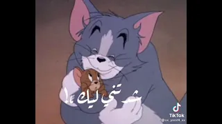 توم وجيري مضحك ولا عمري جتلك انت اللي جتلي انت هيهي  توم وجيري مضحك ولا عمري جتلك انت اللي جتلي انت هيهي