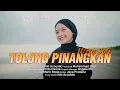 Download Lagu Wita Sofi - Tolong Pinangkan (Official Music Video) - Remix Minang Timur Terbaru 2025