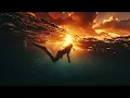 CRi - Stranger vs Billie Eilish - everything I wanted