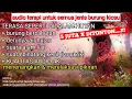 Download Lagu 100%AMPUH! suara burung di alam liar \u0026 air mengalir untuk terapi semua jenis burung yang macet bunyi