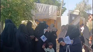 جانب من مشاركة الناخبين في الواحات البحرية انتخابات مجلي الشعب ٢٠٢٥ 