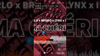 karlo x brvmo x lynx ma ch rie