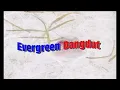 Download Lagu Opening Album Evergreen Dangdut